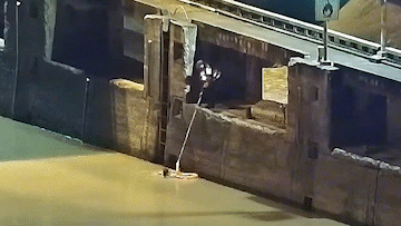 503a110585de23438602ba1791701373_640_wx_fmt=gif&wxfrom=5&wx_lazy=1.gif