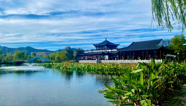 桃花湖公园 江干区图片