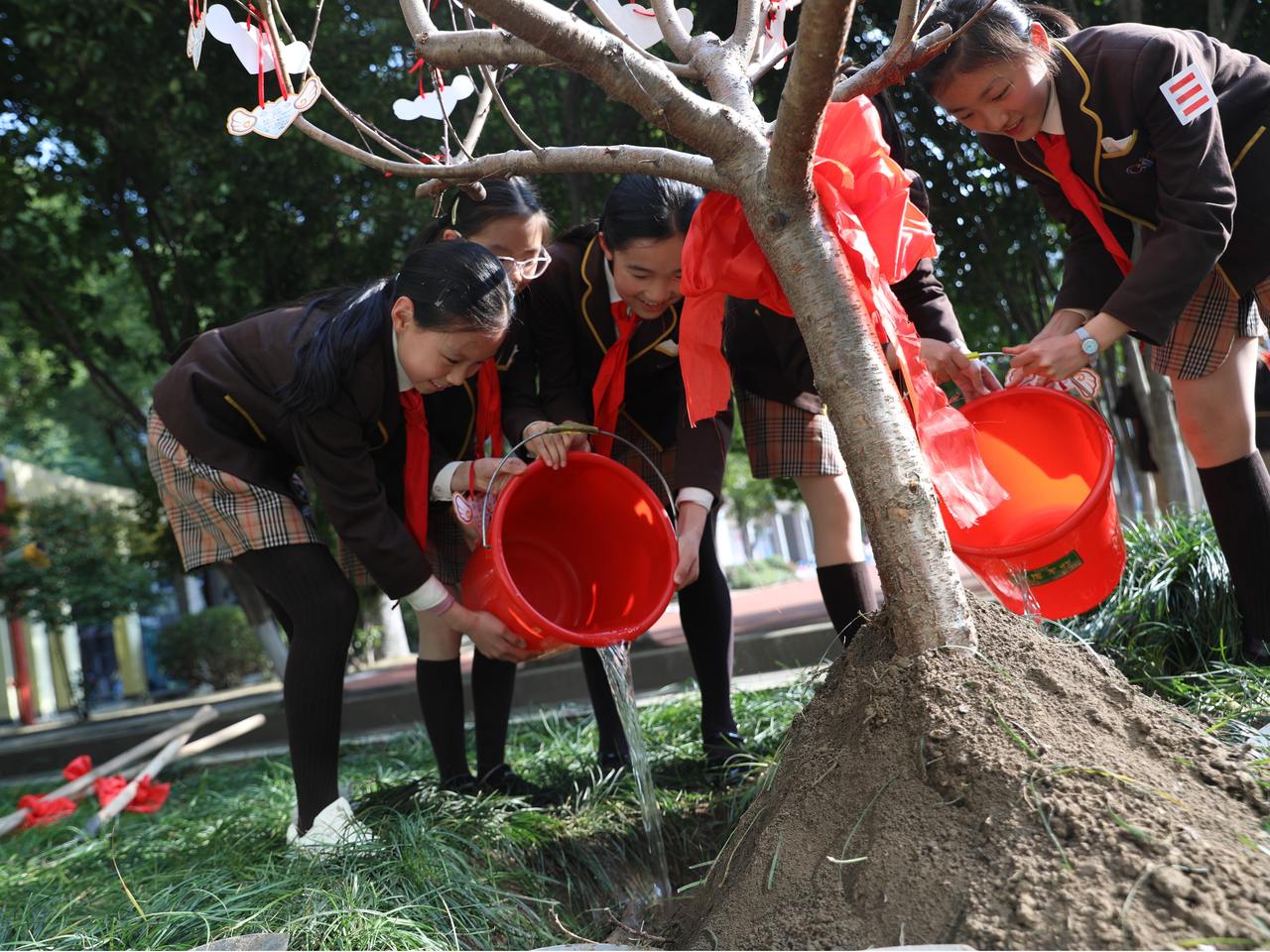 2025年,杭州崇文实验学校的学生们种下毕业树。