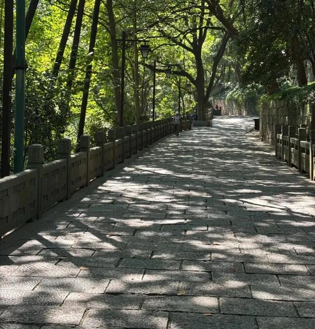 在吴山看到的光影 图片