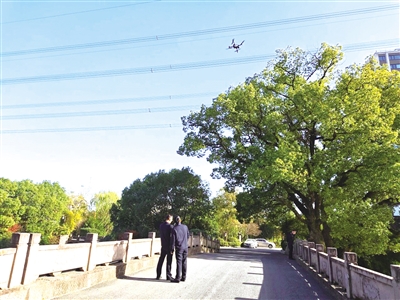 中队执法队员操作无人机俯瞰河道