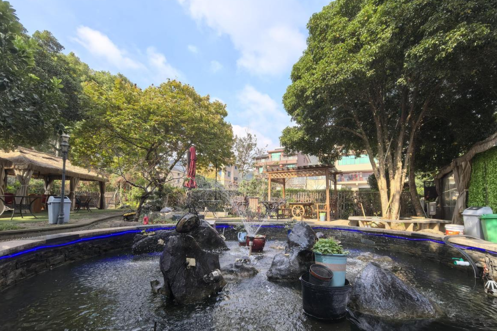 焕然一新的农家小院。施雄风/摄 图片