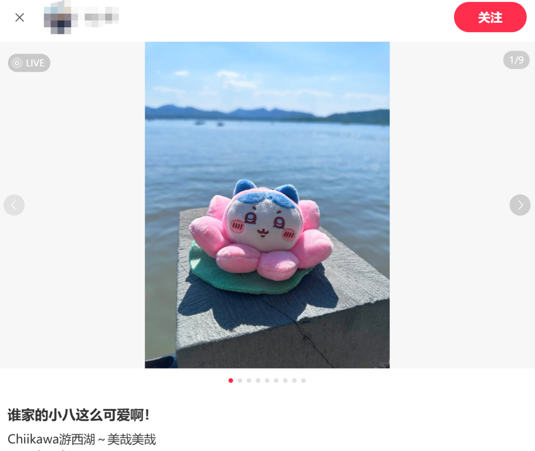 社交平台上,喜欢Chiikawa的年轻人们晒图打卡 图片