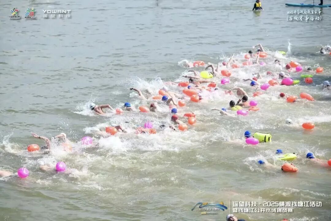 2025横渡钱塘江活动 图片