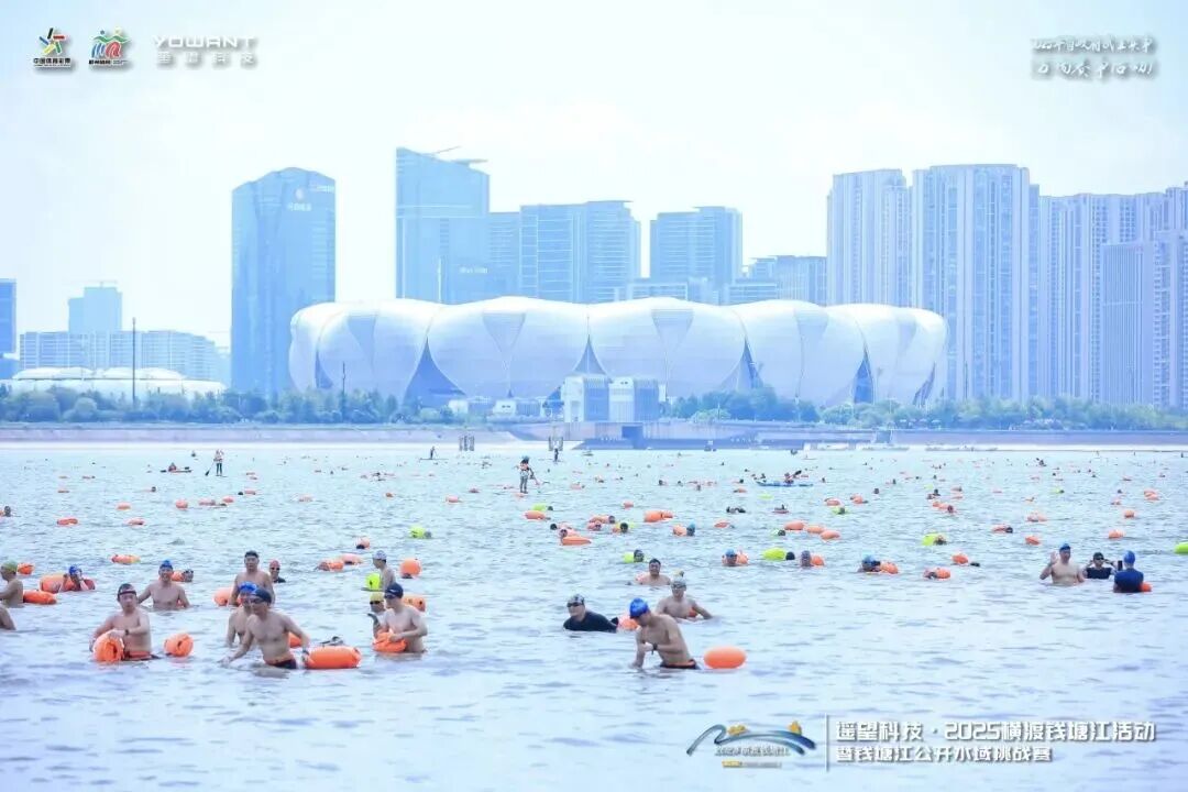 2025横渡钱塘江活动 图片