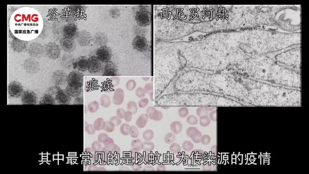 图片来源于国家应急广播 图片